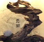 20170827_041552739_iOS