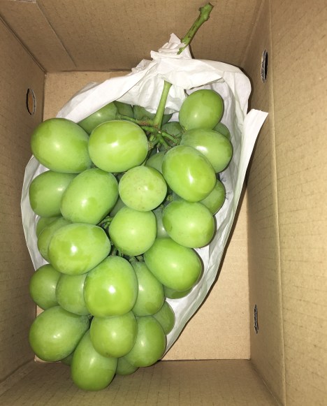 20170827_130039873_iOS