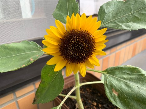 20191026_232421485_iOS